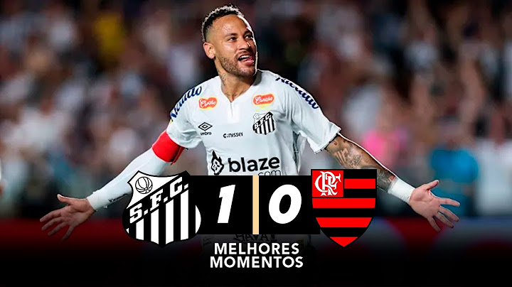 Santos 1x0 Flamengo | MELHORES MOMENTOS | Brasileirão 2025