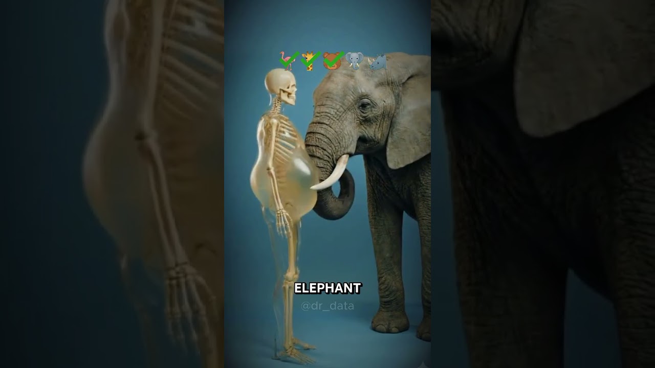 1 HIT = DELETE 🤯 5 animals that will break you 