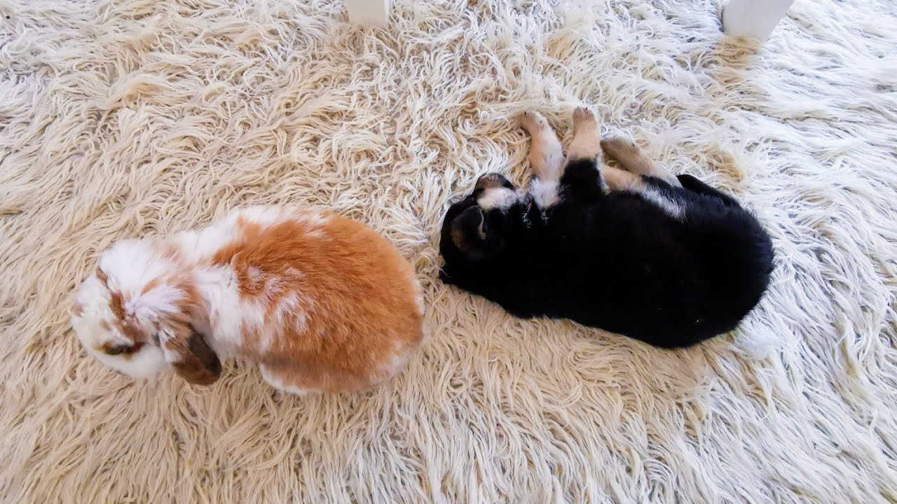 ICH PIERWSZE SPOTKANIE...