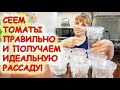 Томаты Растут в 2 раза Быстрее! Когда и как высаживать томаты в на рассаду.