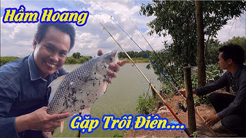 Câu Cá Tự Nhiên || Tiếp Tục Săn Cá Trôi, Cá Tra Tại Ao Hoang Vĩnh Cửu || 2000 Vlog #fishing