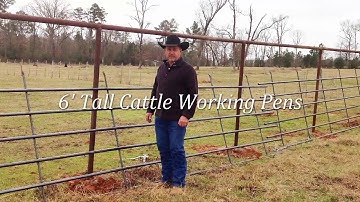 Cattle Pens 6