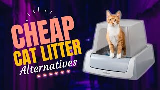 5 Clever Alternatives to Cat Litter - No Need to Buy Expensive Litter