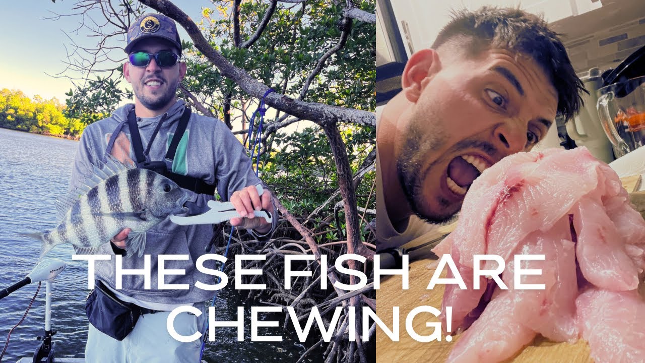 You guys better check this out🤯- (These are the fish to target RIGHT ...