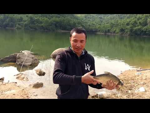 Video Câu cá hồ Kênh Hạ-Phước Đồng-Nha Trang - youtube