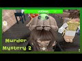 A gosminha voltou  roblox murder mystery 2