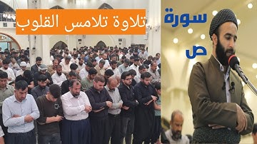 سورة  ص كاملة ، تلاوة تلامس القلوب، القارئ سوران صديق