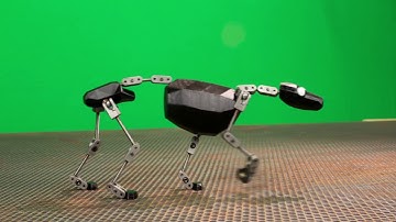 Quadruped Walk Test
