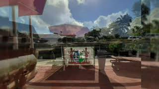 De Palmentuin,Suriname