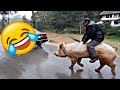 Funny  hilarious peoples life  fails memes pranks and amazing stunts by juicy lifeep 20