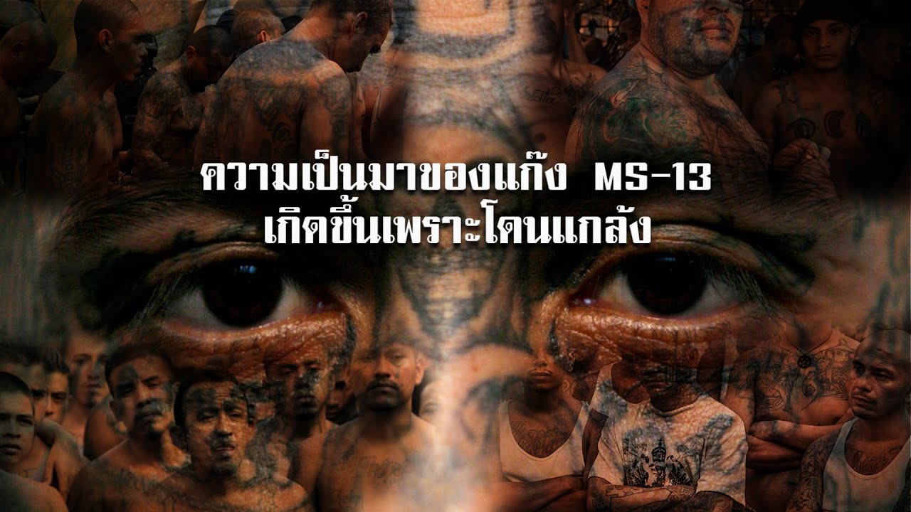 มาเฟียสุดเถื่อนแห่งละตินอเมริกา MS 13