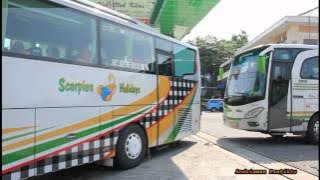 Ramainya Telolet Serentak 4 Unit Scorpion Holiday