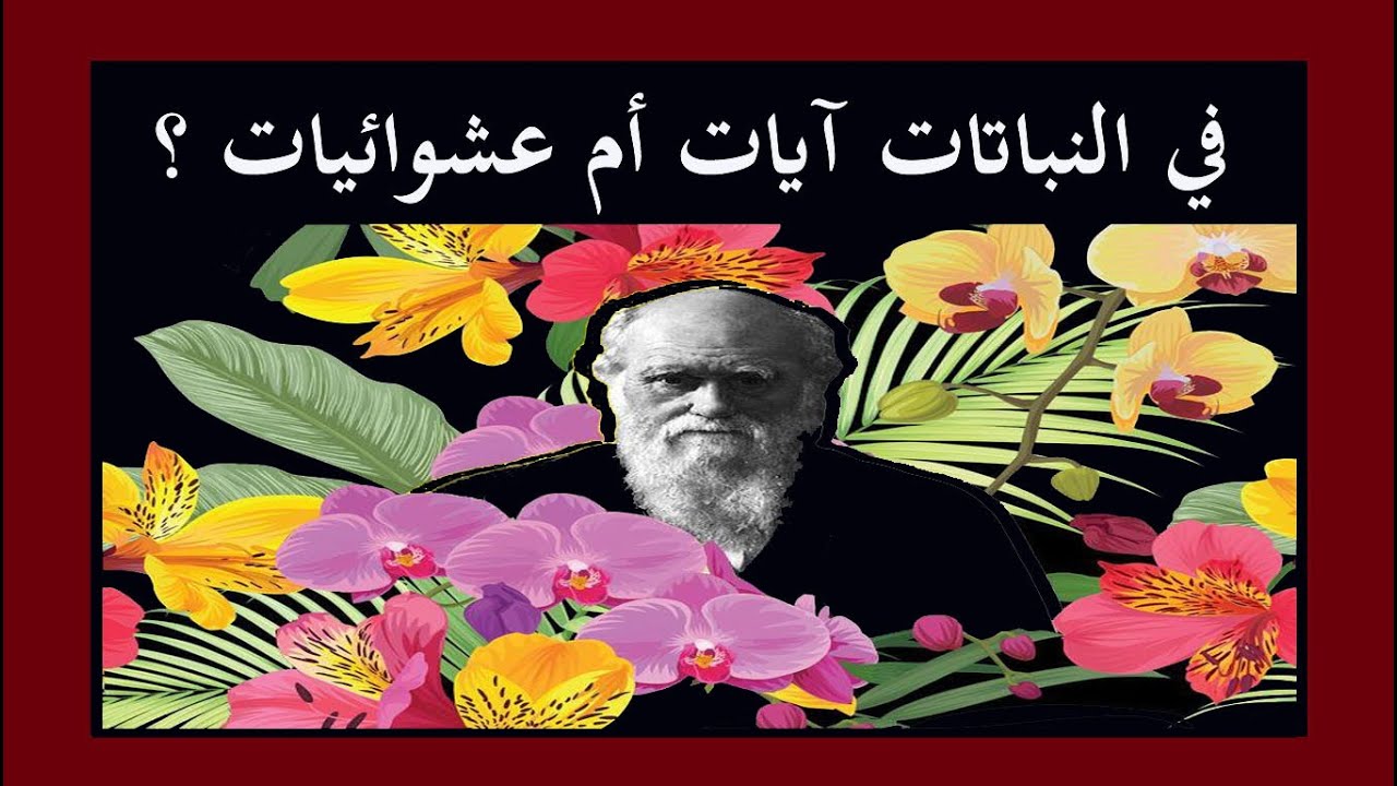 في النباتات آيات ام عشوائيات ؟