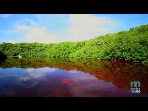 Reserva De La Biosfera Los Petenes, Campeche
