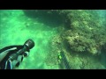 صيد هوامير 2 Spearfishing grouper