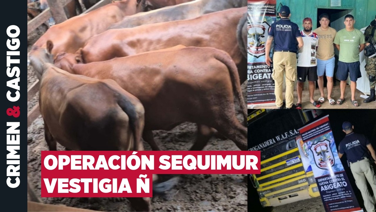 Desarticulan esquema de abigeato que operaba en el Chaco | Crimen & Castigo