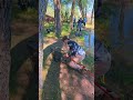 Pike Cup #2 2026❗️💪🔥 Правильна проводка та приманка дають свій результат🔥🤟 #fishing #azura #flagman