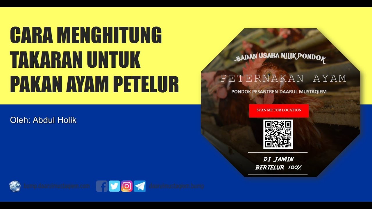 Cara Menghitung Takaran Untuk Pakan Ayam Petelur Badan Usaha Milik