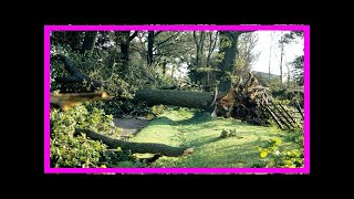 Breaking News | Met office supercomputer would not have missed the great storm of 1987