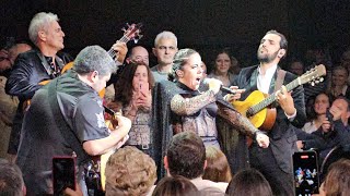 Fado Português - SARA CORREIA ao vivo 2024 Coliseu do Porto LIBERDADE Amália Rodrigues