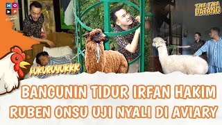 BANGUNIN IRFAN HAKIM TIDUR, RUBEN ONSU UJI NYALI DI AVIARY!! | TIBATIBA DATANG