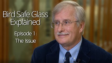 Bird Safe Glass Explained - Episode 1: The Issue