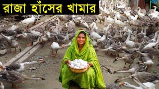 বাংলাদেশের সবচেয়ে বড় রাজা হাঁসের খামারতানিয়া আপা হাঁসের খামারে বাজিমাত