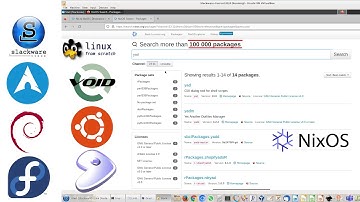100,000 Linux Packages for Any Distro or macOS (Slackware used as example): nix package manager.