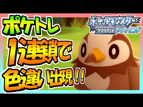 【ポケモンBD】ポケトレ1連鎖目で光ってもいない草むらから色違いのムックル出現！！ #Shorts