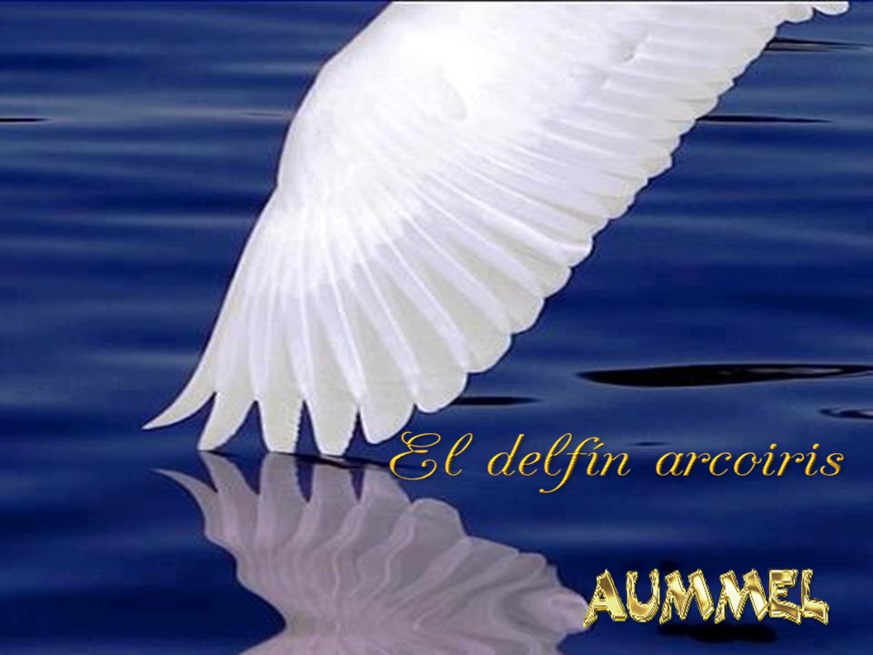 El delfín arcoiris