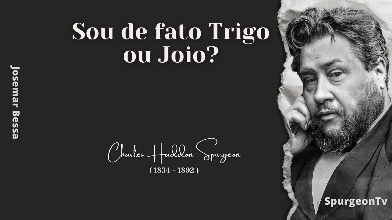 Sou de fato Trigo ou Joio? | C. H. Spurgeon ( 1834 - 1892 )