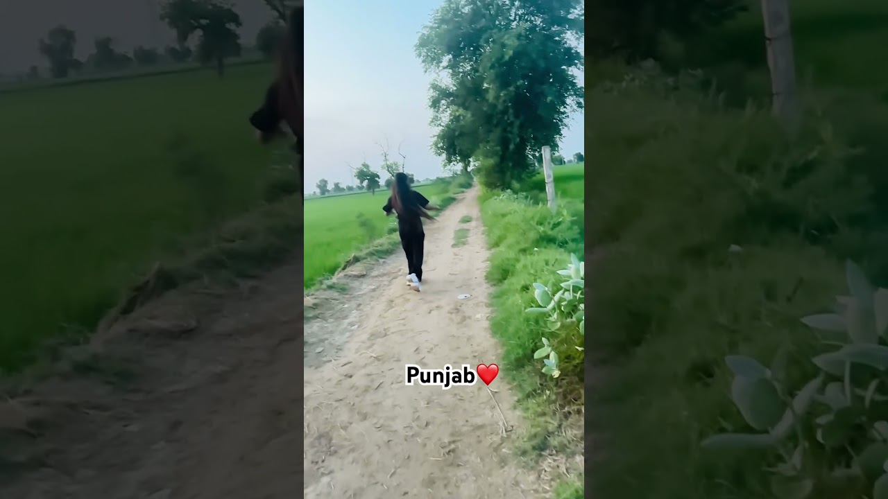 Beautiful Punjab ❤️🧿
