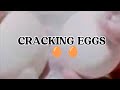 ANOTHER CRACKING EGGS #asmr #trending #shorts