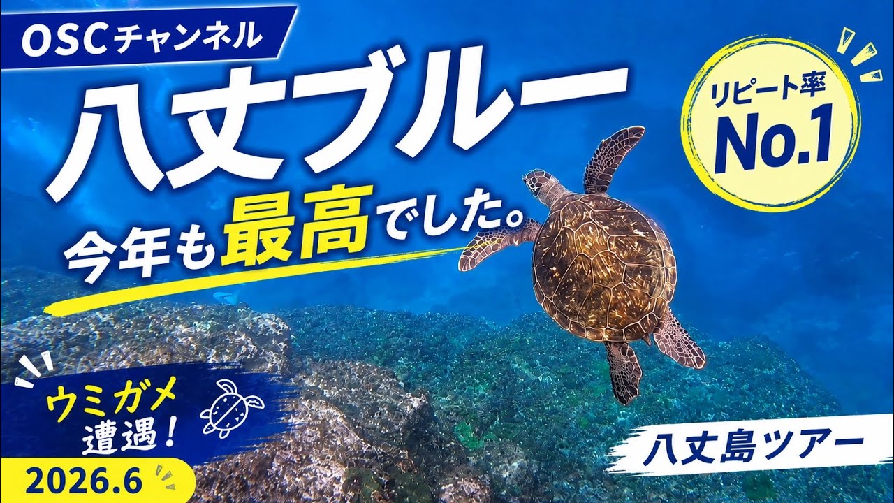 あ〜きゃん♬様　レア　ブルーアベンチュリン　ロングイ　イルカ　龍亀 八丈ブルー】今年も最高でした！青い世界と水中アーチ！ウミガメと一緒