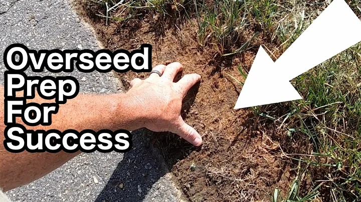 Core Aeration and Over Seeding Prep to Ensure Success