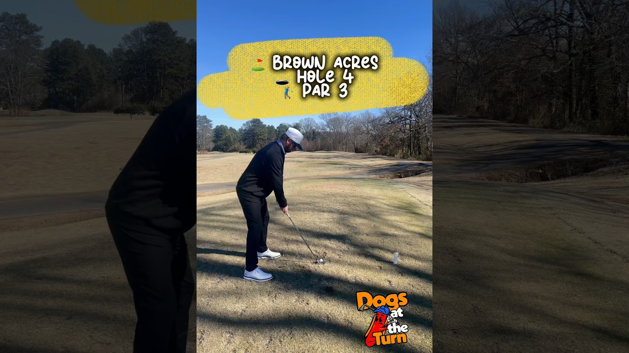 ⛳️ Brown Acres 🕳️ Hole 4 🏌️‍♂️ Par 3 