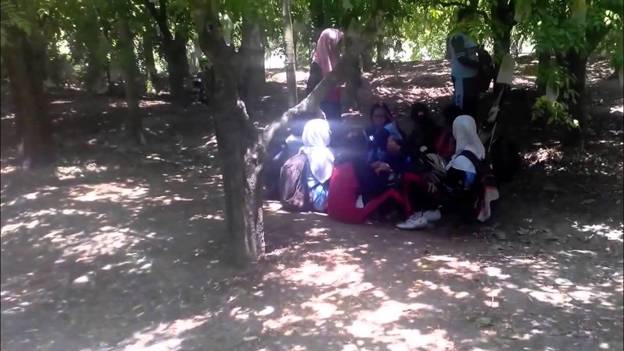 Smp ngentot di hutan