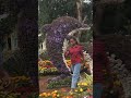 Jai Shri krishna #radhe radhe #shortvideo #ytshorts #motivation @astroiddestroyer-r6x