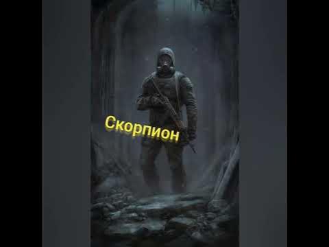 знаки зодиака сталкер - YouTube