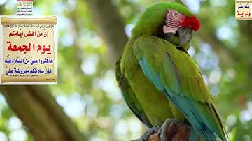 "وإن منكم إلا واردها كان على ربك حتما مقضيا.."  أوآخر سورة مريم بصوت الشيخ سعود الشريم holy quran