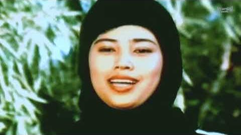 เสือภูพาน - หนังไทยในตำนาน เต็มเรื่อง (Phranakornfilm Classic)