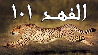 اعرف اكثر | 5 حقائق لا تعرفونها عن اسرع حيوان على الارض! - الفهد