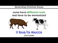 Italian Noun Gender and Articles