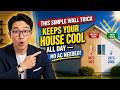This Simple Wall Trick Keeps Your House Cool All Day — No AC Needed