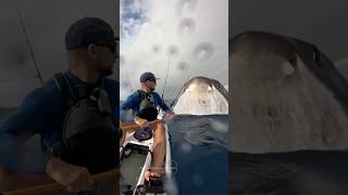 🌊🦈 The worst nightmare for anyone who loves the sea… #greatwhiteshark #shark #aivideo
