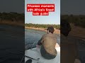 life is short but memories last forever. don't forget to subscribe for daily wildlife videos