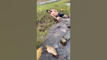 Cá Lớn - đang nằm ngủ thì Chép Khủng xuôi dòng 😱 #khacthuyvlogg