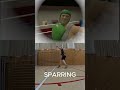 VR Boxing Training Day