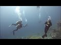 Diving in Sharm el Sheikh / #Paralenz