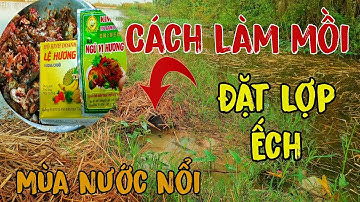 Cách Làm Mồi Và Địa Điểm Đặt Lợp Ếch Chạy Mạnh Vào Mùa Nước Nổi || Học vlog cuộc sống đồng quê